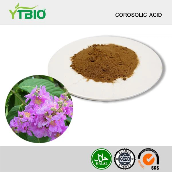 bột axit corosolic