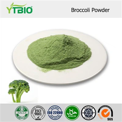 Bột bông cải xanh số lượng lớn