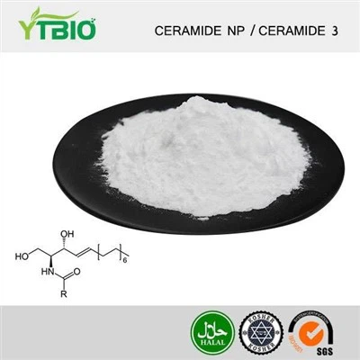 Bột Ceramide số lượng lớn