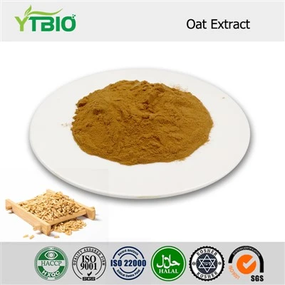 Bột chiết xuất yến mạch