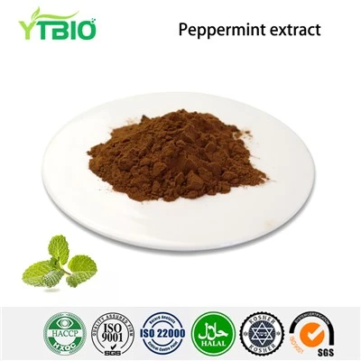 Bột chiết xuất bạc hà