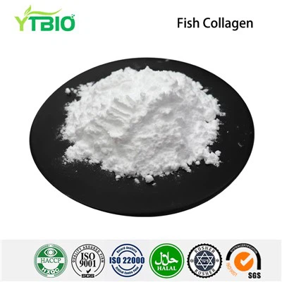 Bột Collagen cá nguyên chất
