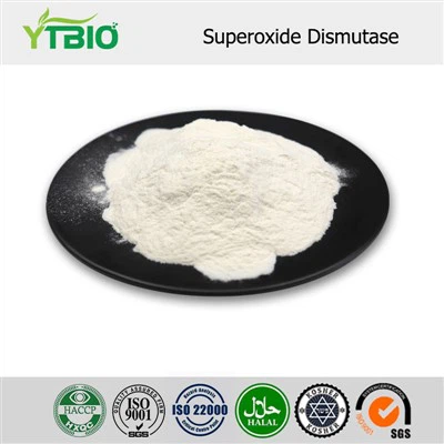 Bột Superoxide Dismutase
