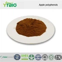 Polyphenol táo