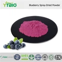 Bột trái cây việt quất