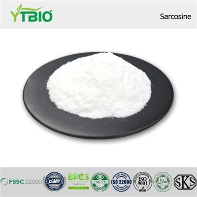 Bột Sarcosine