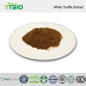 Chiết xuất nấm truffle trắng